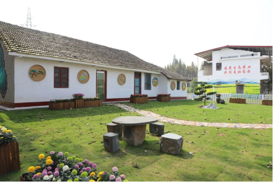 南县青树嘴镇:细"治"入"微" 描绘美丽乡村画卷