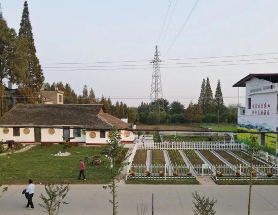 南县青树嘴镇细治入微描绘美丽乡村画卷