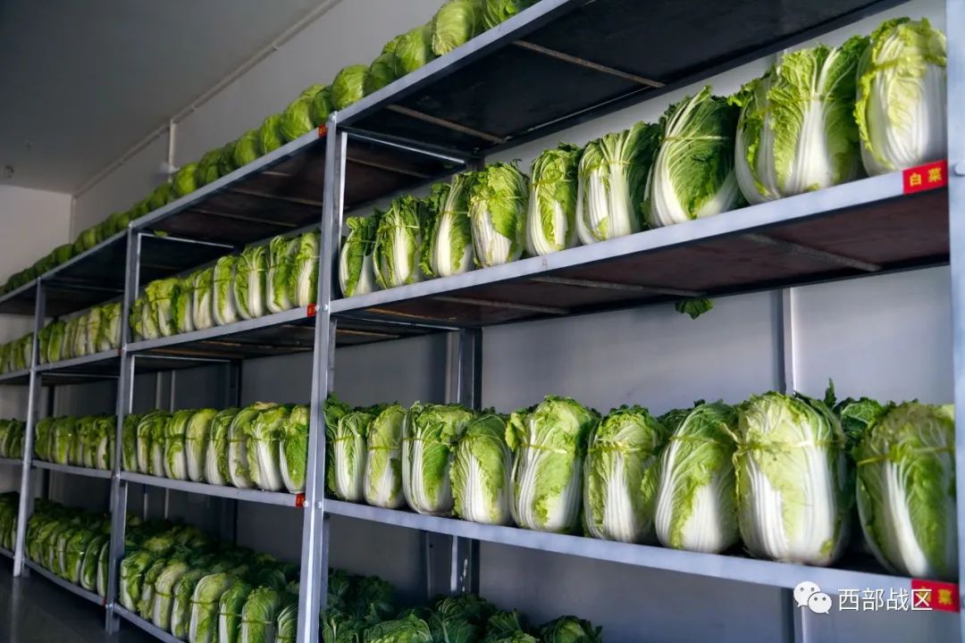 看边防官兵的恒温菜窖和花样套餐