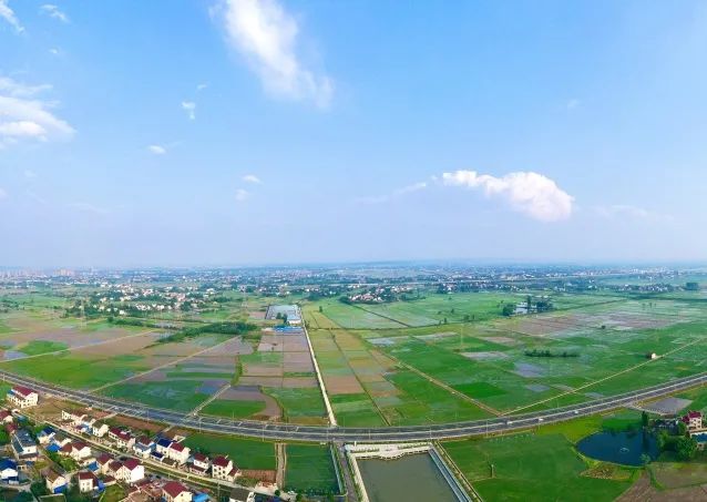 桃源县陬市镇,成片的高标准农田映入眼帘.