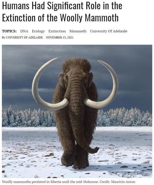 (猛犸象一直生活在西伯利亚直到全新世中期 截图来源:sciencedaily)