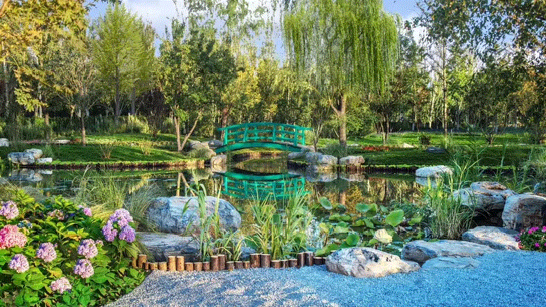 弗农小镇莫奈花园实景