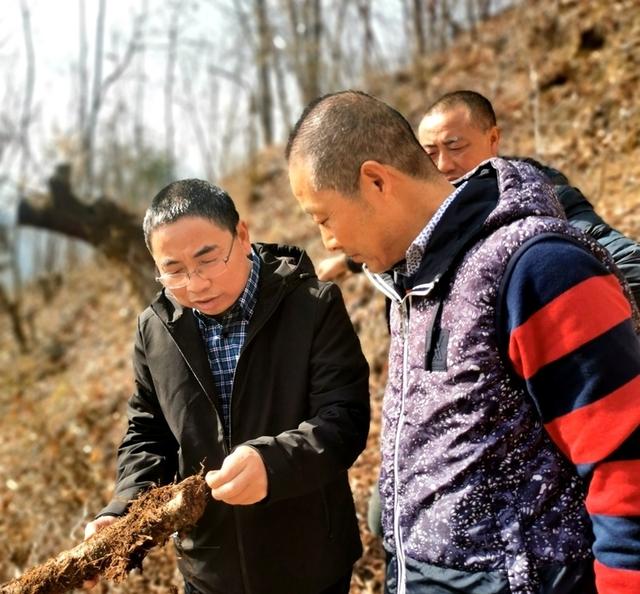 王正前:不愿"脱农皮" 甘做乡村发展"领路人"