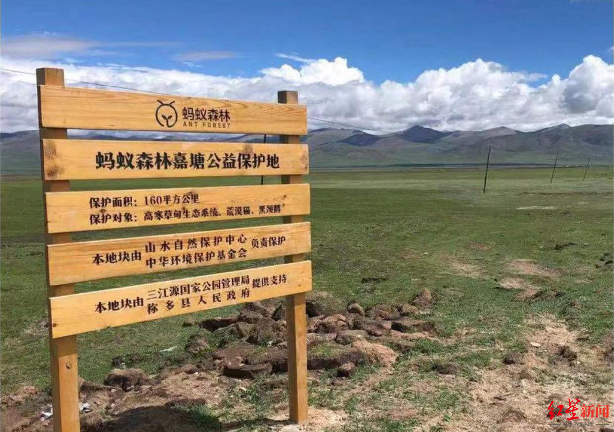 蚂蚁森林公益保护项目在嘉塘草原上的标牌