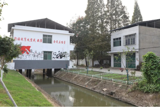 南县青树嘴镇:细"治"入"微" 描绘美丽乡村画卷