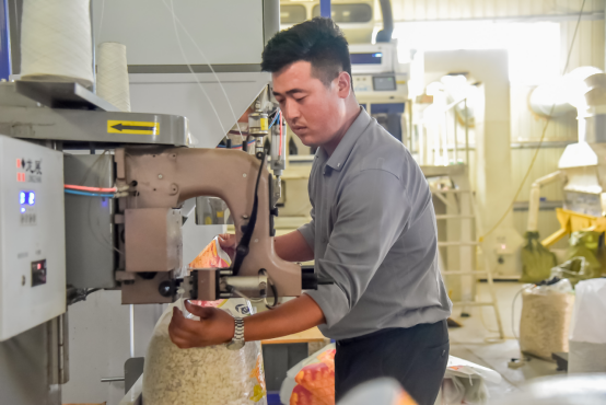 ▲80后大学生张靖返乡当村支书，带领村民依靠产业增收致富。沈晓凯 摄