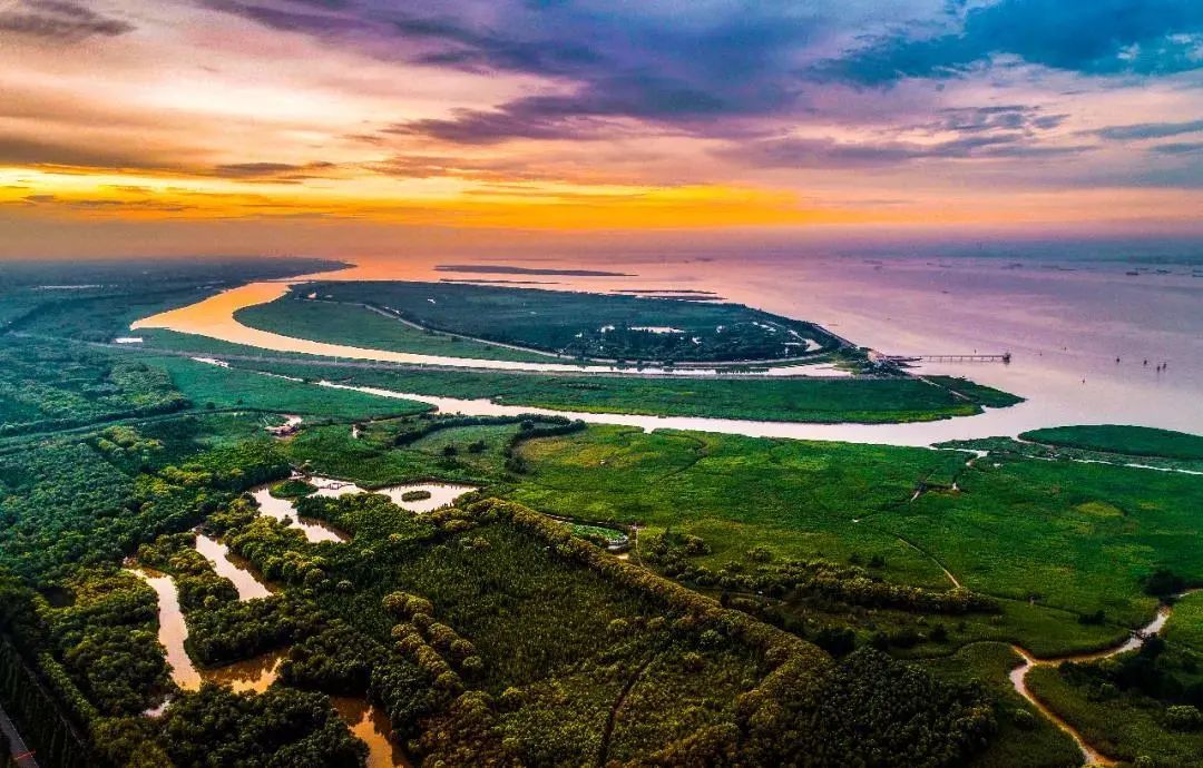 崇明,冲刺5a!|旅游景区_新浪财经_新浪网
