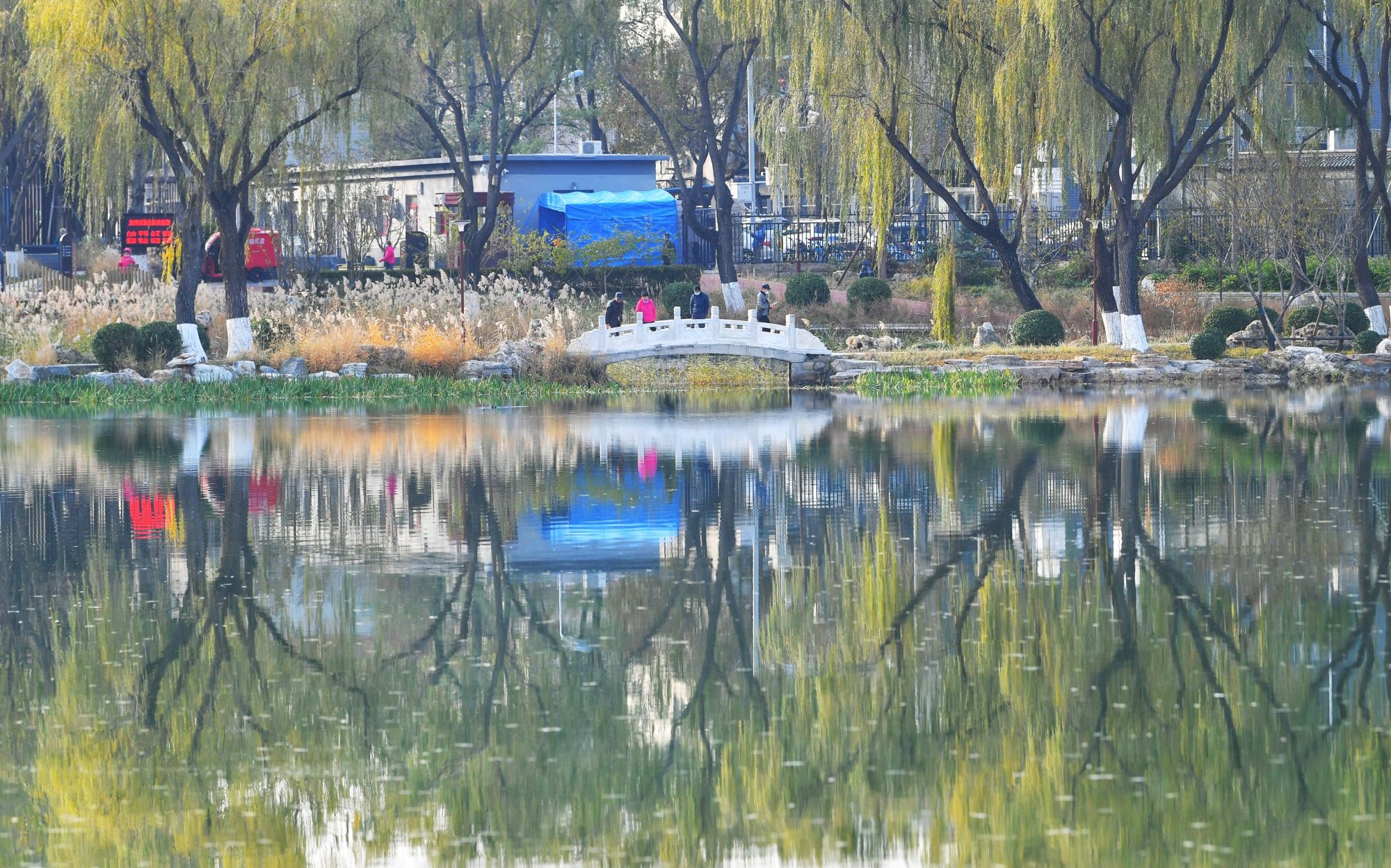 龍潭西湖公園11月16日開園龍潭湖三園全部開放