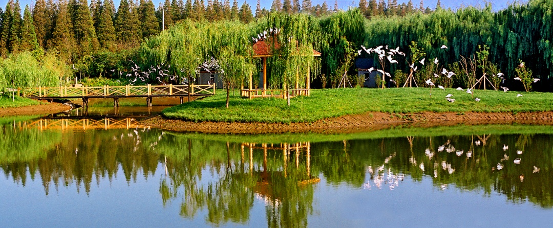 崇明,冲刺5a!|旅游景区_新浪财经_新浪网