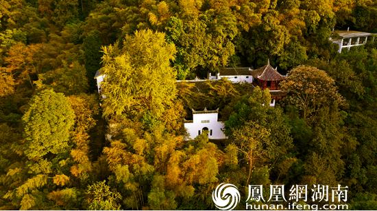 飞阅 中国 重阳节 赏 福寿之乡 百寿图 新华网