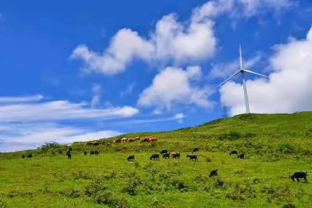 丘北舍得草场 文山州委宣传部 供图 曾炜炜 摄普者黑西北方向的舍得村