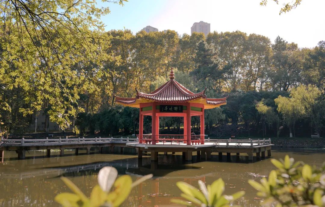 华中科技大学的秋有7种颜色