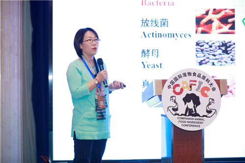 薛敏讲解一碳合成蛋白源乙醇梭菌蛋白