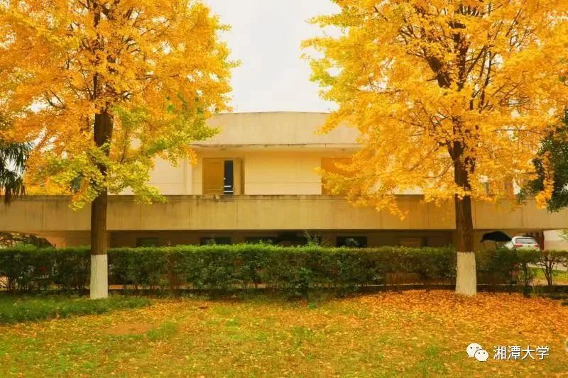 50张图带你领略绝美湘大秋景