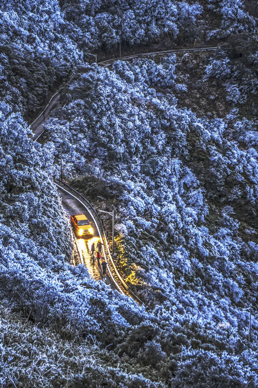 1月8日晚，南方电网广西电网公司南宁武鸣供电局工作人员在南宁市武鸣区大明山景区对供电线路进行特别巡视维护 图片来源：南方电网