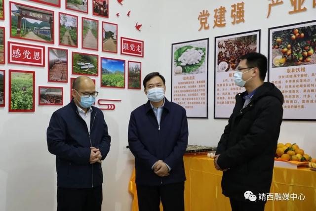 11月17日,百色市委书记周异决到靖西市调研边境疫情防控工作.