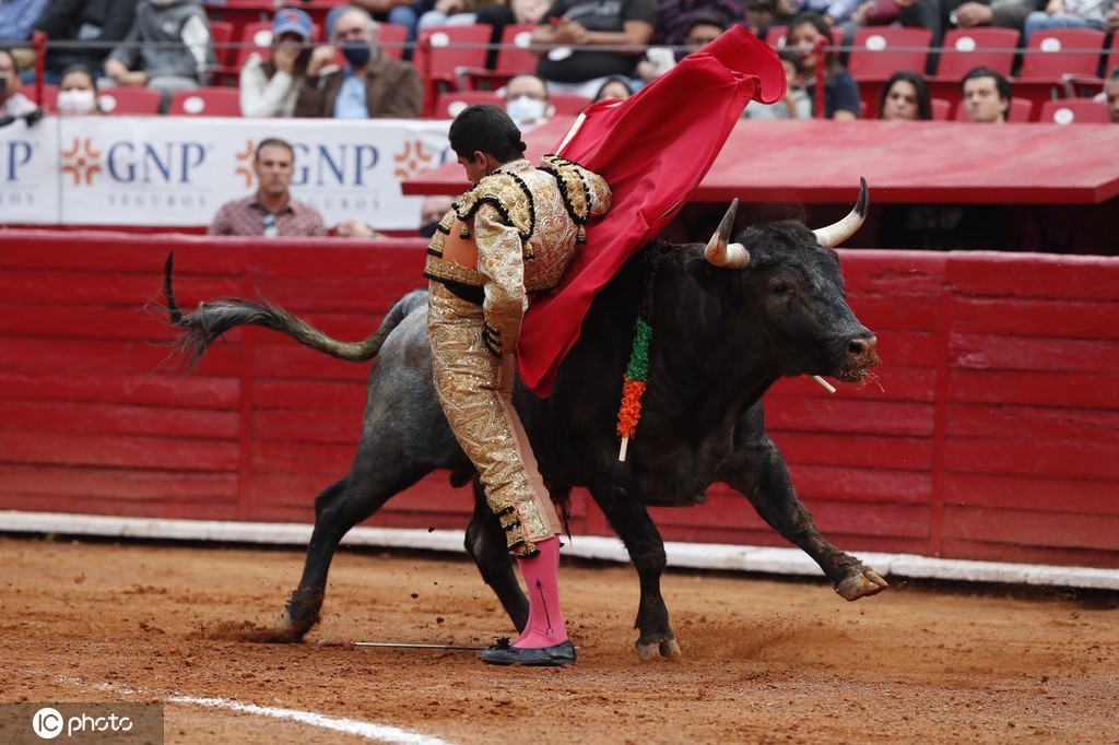 墨西哥举行斗牛赛 比赛现场竞争激烈