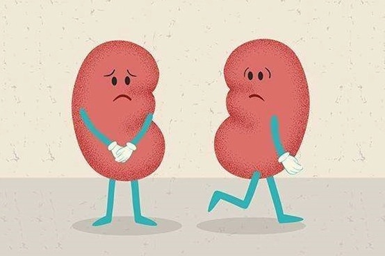 1027健康总动员沉默的杀手慢性肾衰竭