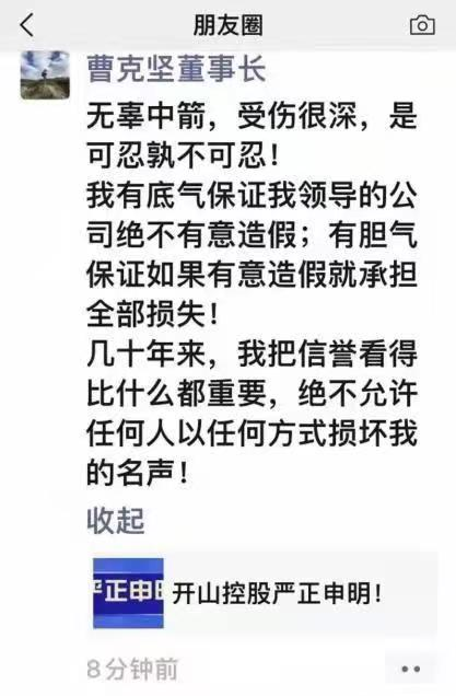 控股股东谴责辞职独董，公开声明：保证旗下公司不发生有意财务造假行为