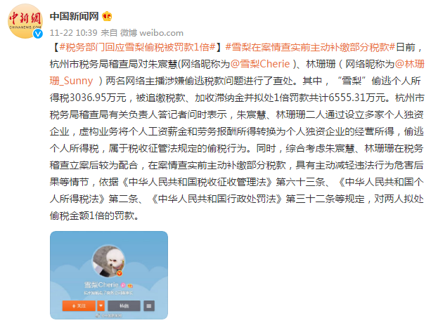 雪梨和林珊珊偷逃税被罚超9000万 税务部门回应罚款1倍