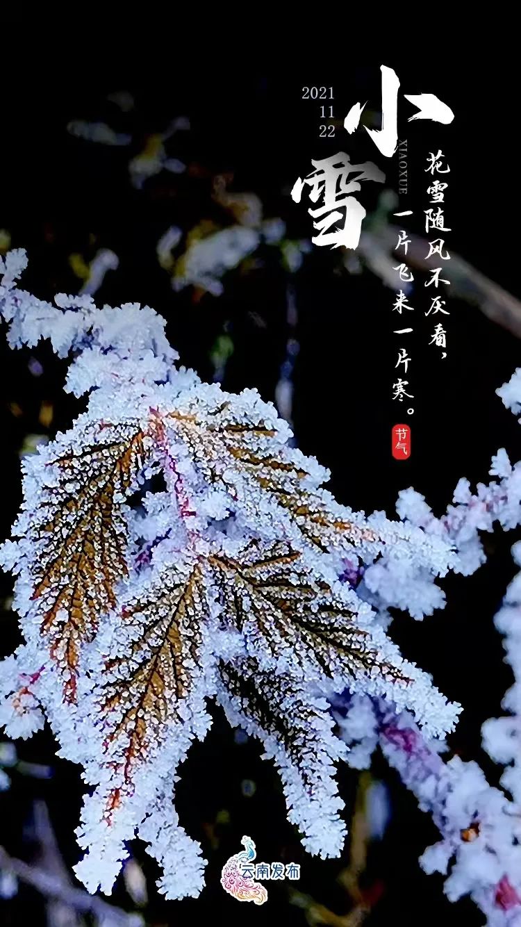 今天，你那里下雪了吗？未来几天……