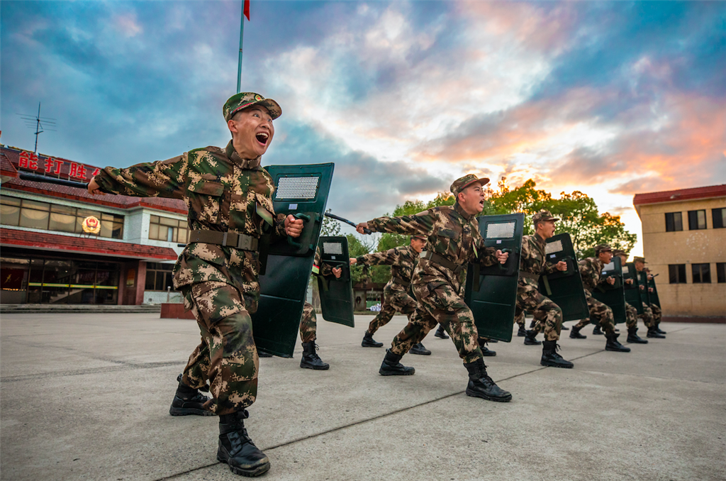 沙场秋点兵看新兵小绵羊如何蜕变成下山猛虎