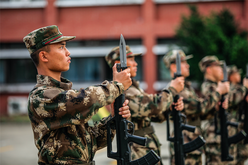 沙场秋点兵看新兵小绵羊如何蜕变成下山猛虎