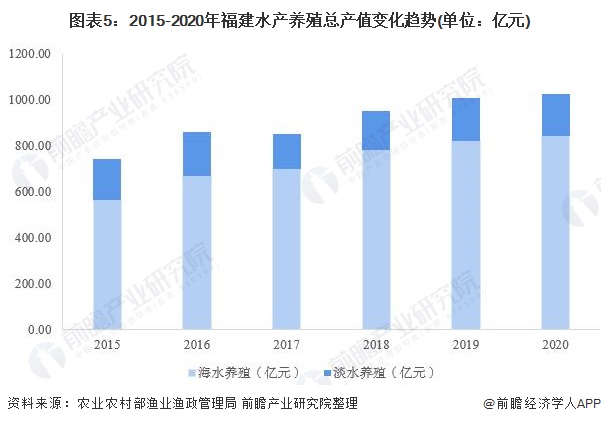 包含未来几年养殖业的发展前景如何养殖的词条
