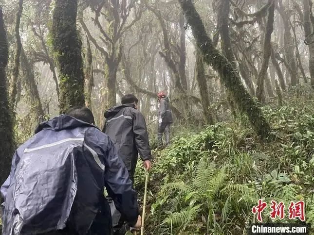 厘米级定位仪没打开，4名专业地质人员何以葬身哀牢山？