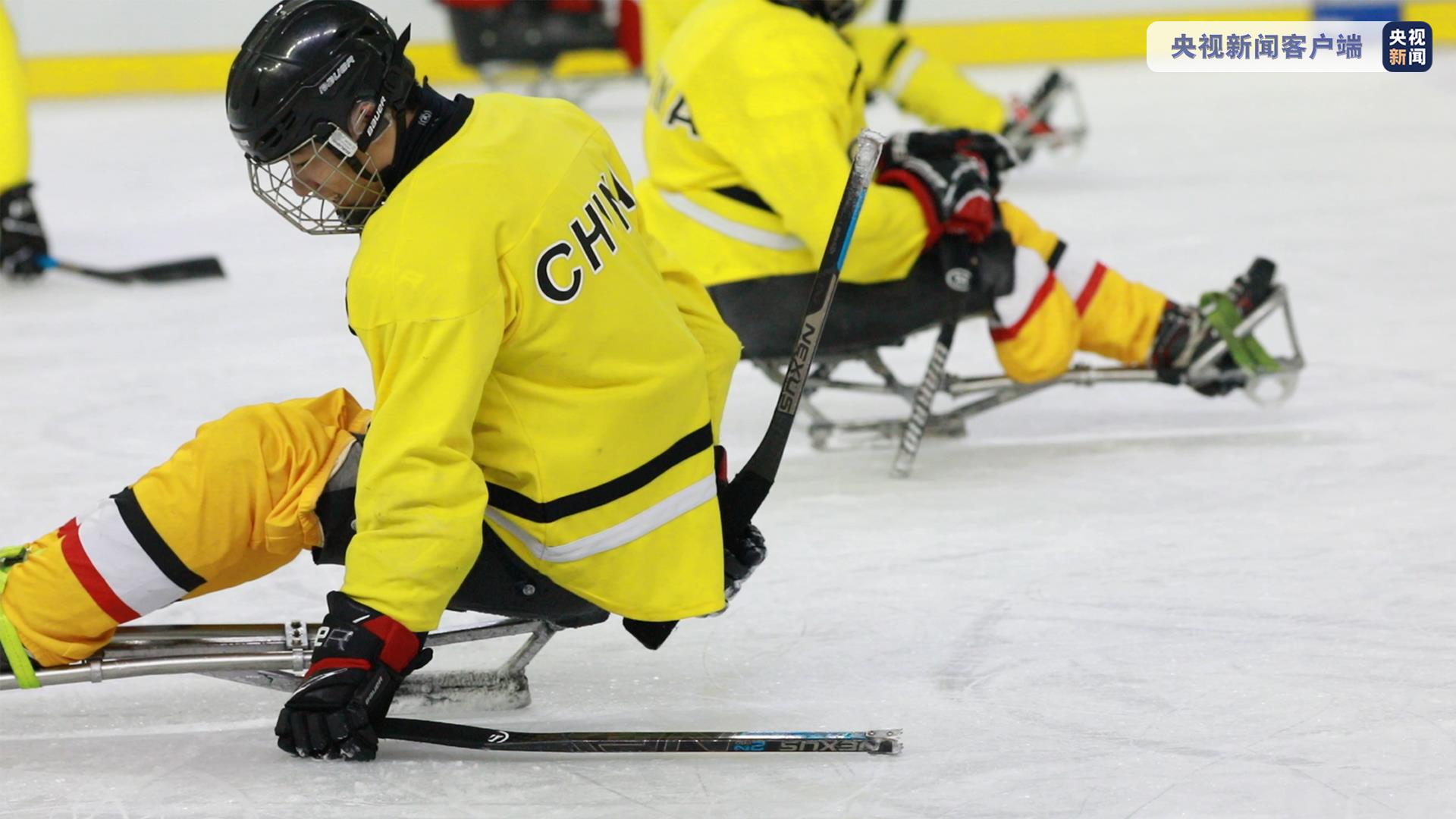 参加残奥冰球比赛的运动员都有下肢的残疾,需要坐在冰橇上参加比赛
