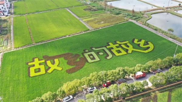 "鲁迅外婆家"挂出了巨幅广告牌11月底开放,这小村里能体验"鲁迅的童年