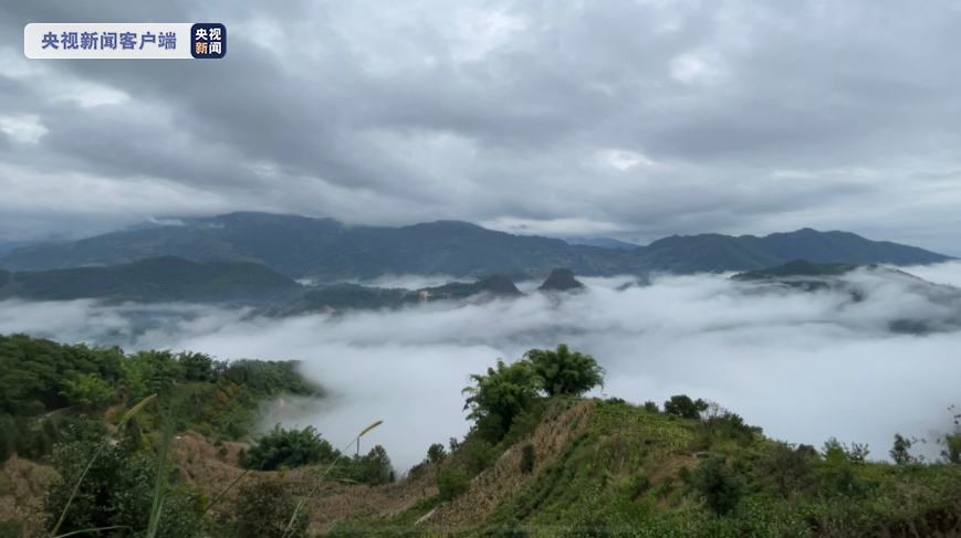 哀牢山区域今晚或有暴雨 前指要求所有救援人员务必不要停、往外走