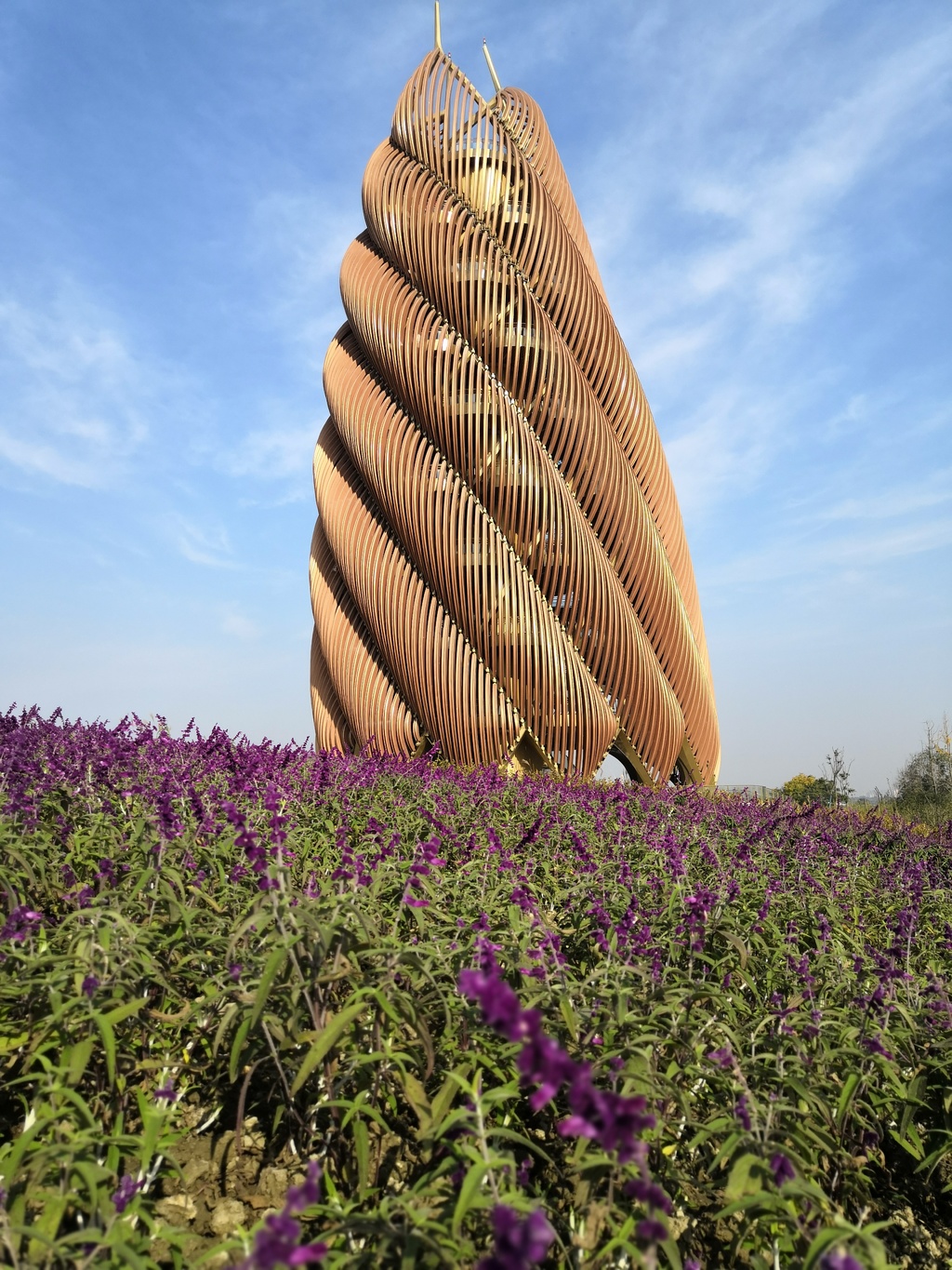 8米的"竹笋"嫣然矗立——这是成都市以"春笋破土,芙蓉花开"为设计理念