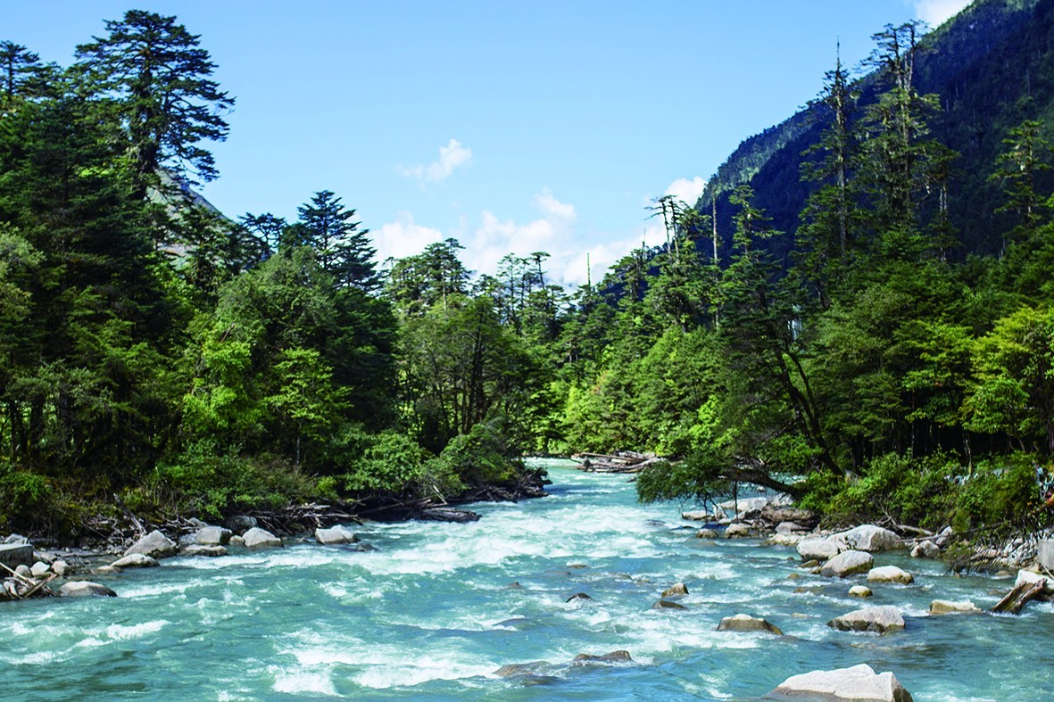 古老稀有的物种天然的水汽通道充沛的水资源在中国藏南秘境感受生物
