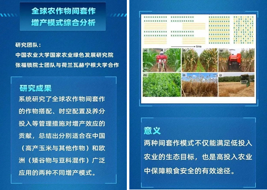 这一成果入选2021中国农业科学十大重大进展！