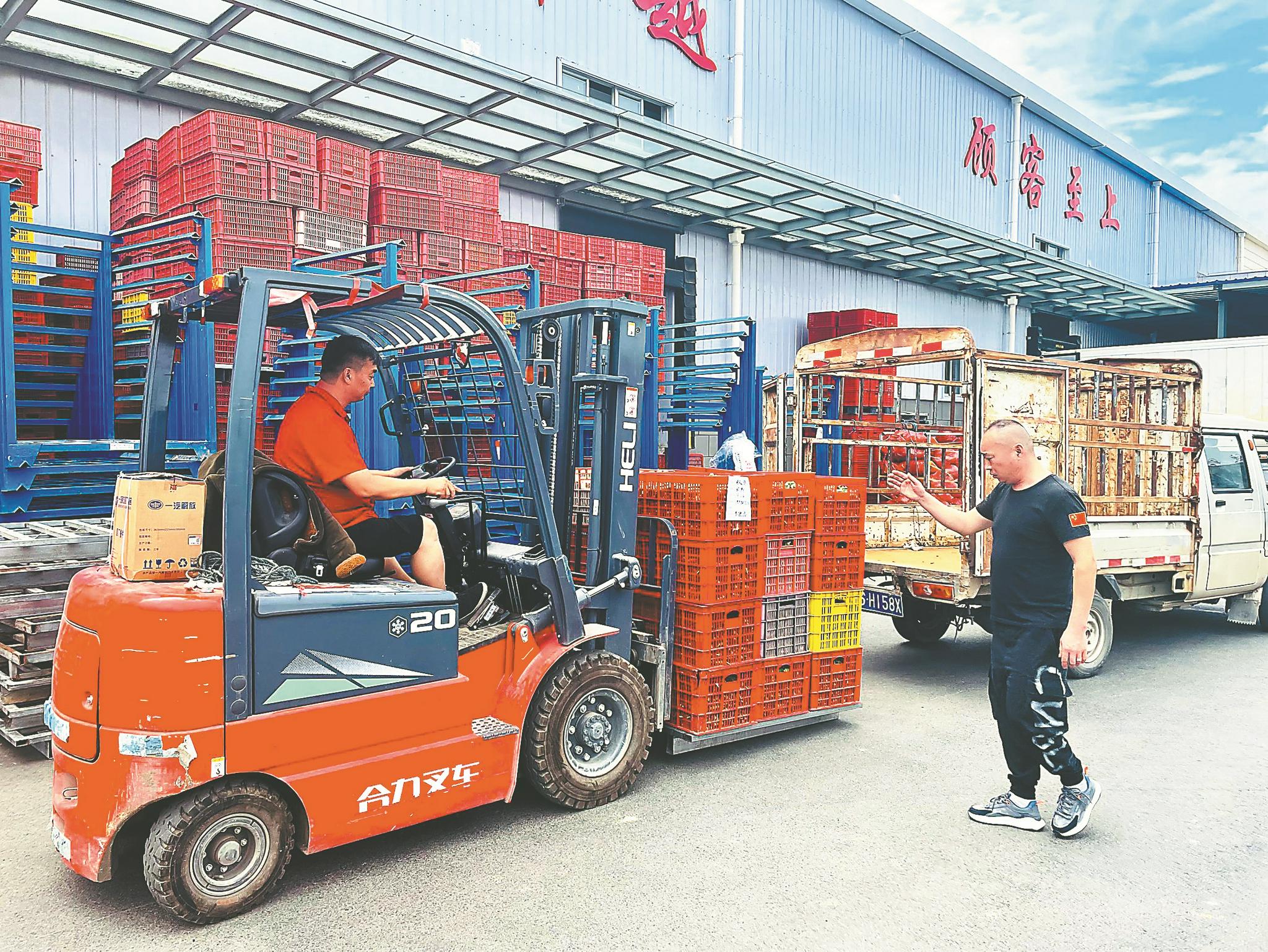 皖北上海菜篮子是这样炼成的