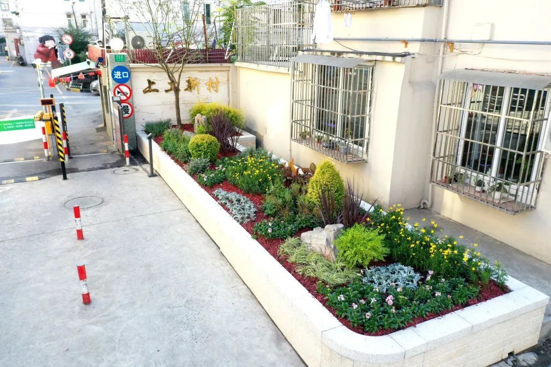 180㎡景观花坛点亮街景居民点赞和以前比不一样了