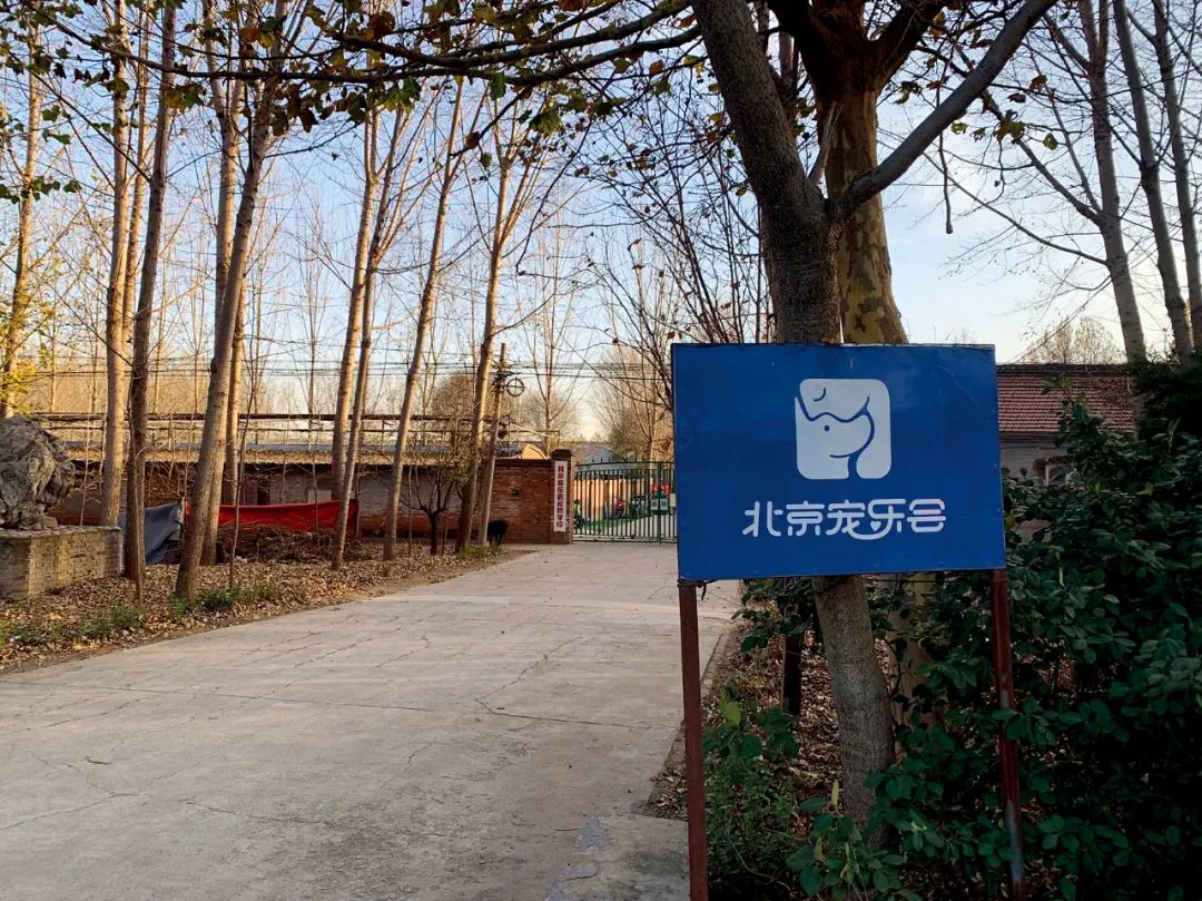 北京宠乐会宠物学校的入口，柴犬登登在这座学校生活了7年。摄影/本刊记者 张馨予