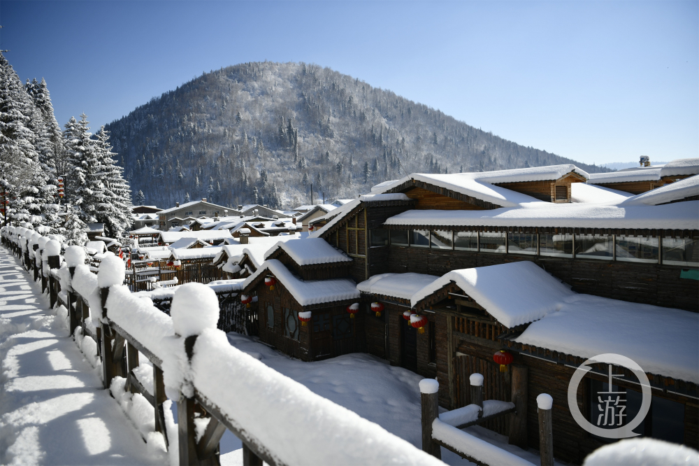 雪乡开园雪蘑菇红灯笼等你来打卡