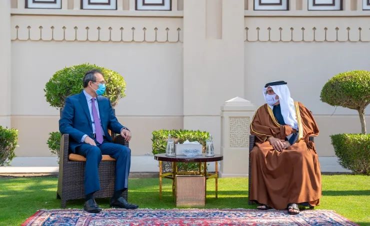 巴林王储兼首相萨勒曼高度评价中巴抗疫合作取得的丰硕成果