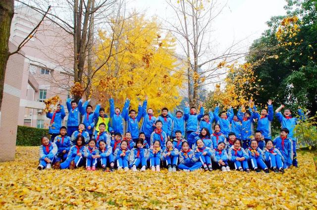纯图推送谁能占领朋友圈来看成都各中小学的银杏美景pk
