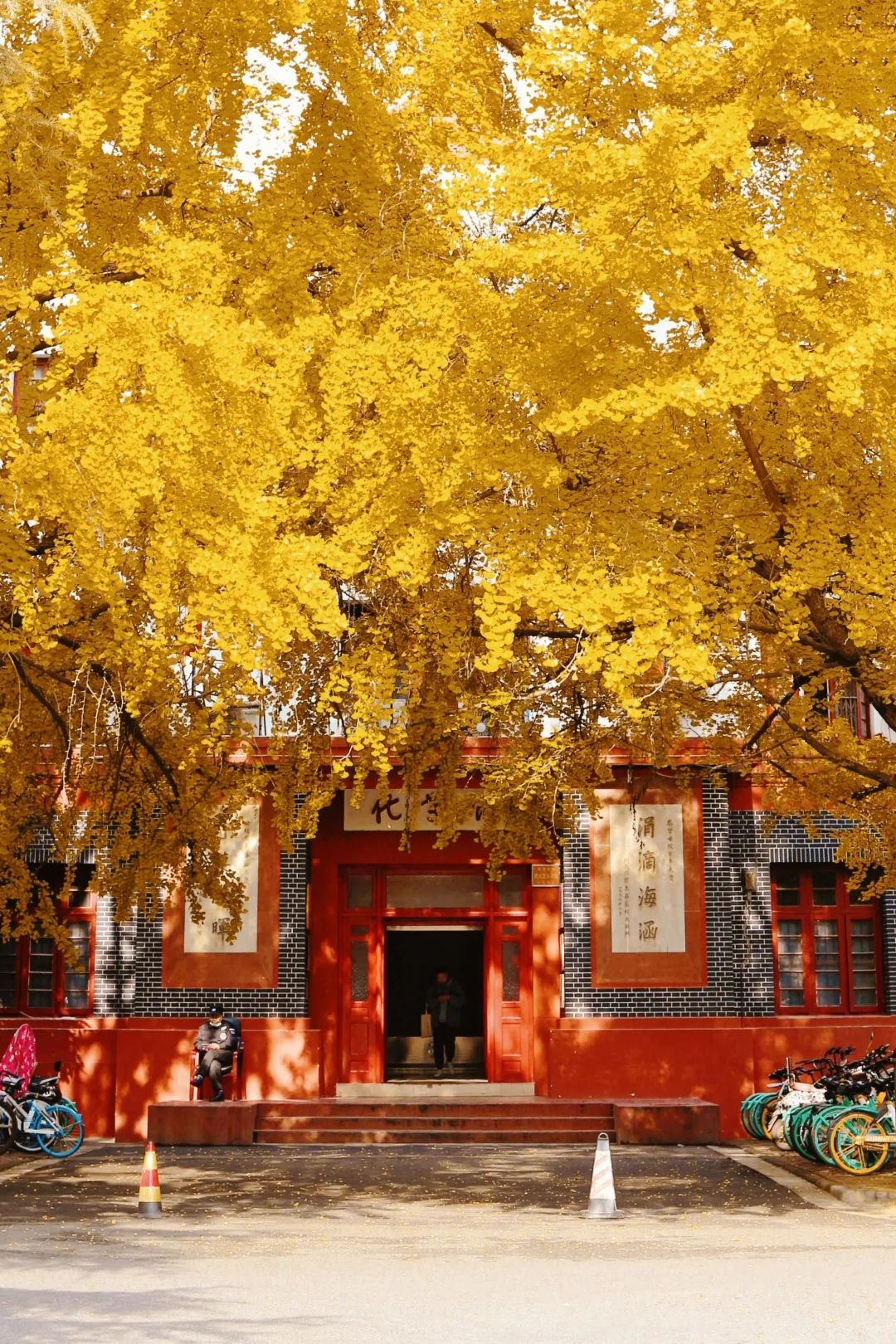 冬追着秋来源:四川大学