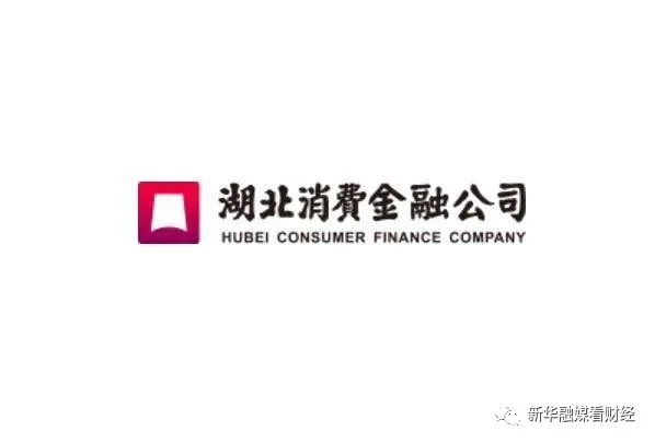 湖北消金公司被骗贷款253万元湖北银行是其第一大股东