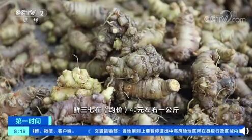 名贵药材排行榜_名贵中药材复兴文山三七千亿产值喷发