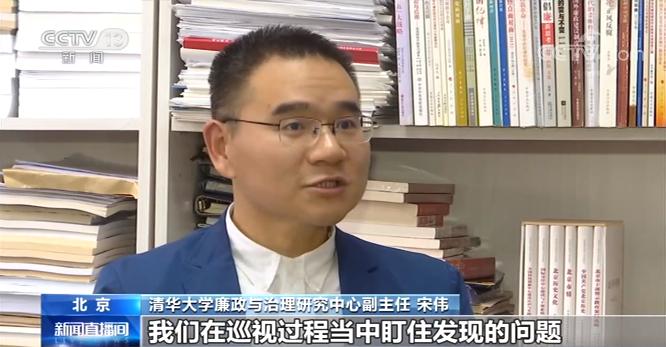 清华大学廉政与治理研究中心副主任 宋伟:"回头看"实际上就是表明了