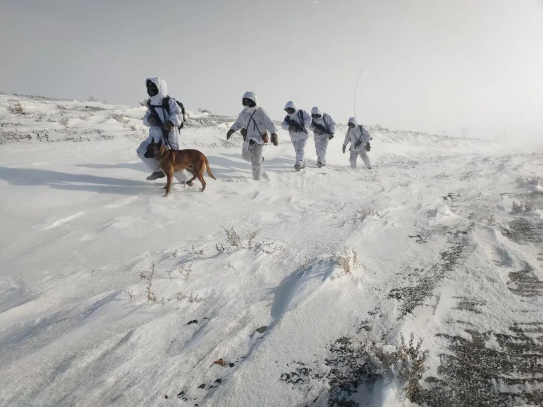 戍守边关何惧三九严寒