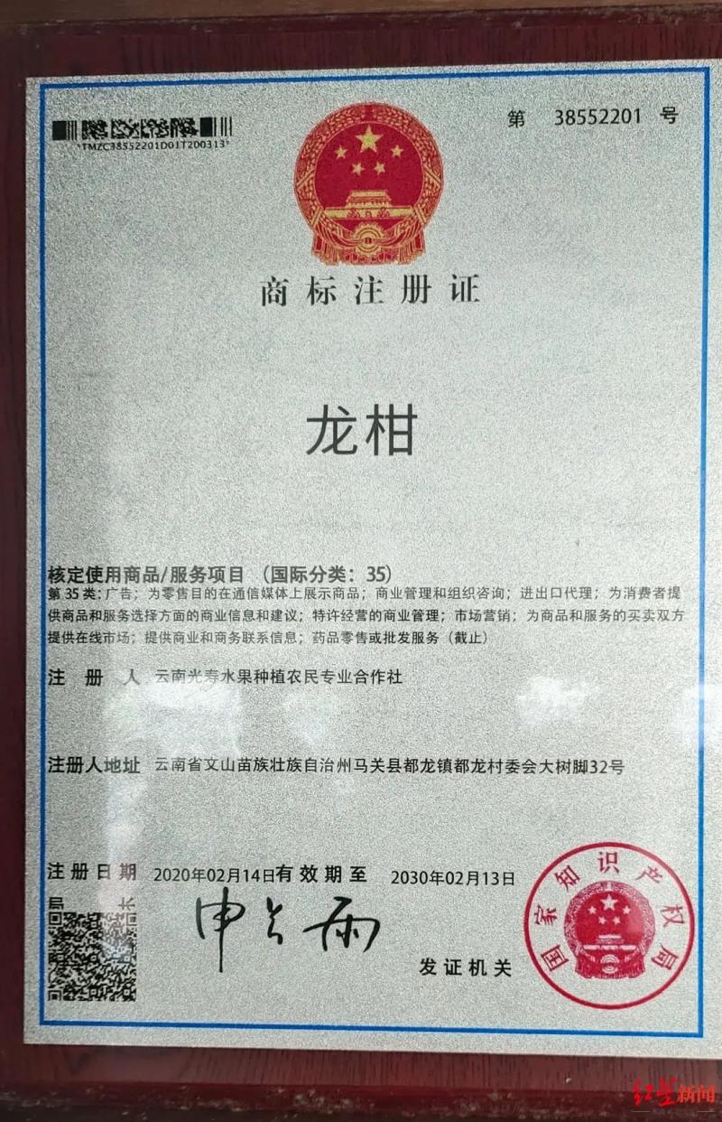 该社生产的沃柑以"龙柑"为名,已取得国家知识产权局的商标注册证.