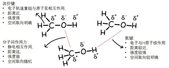 間 相互 作用 分子