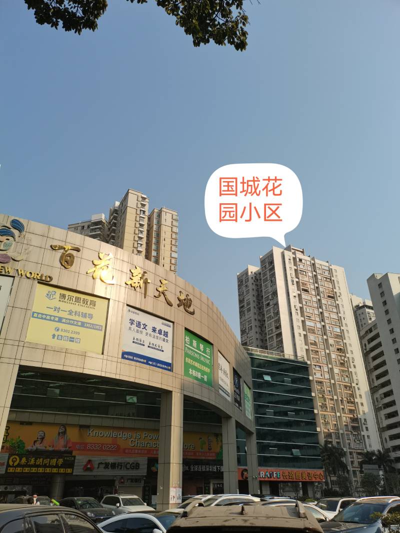 与国城花园一路之隔的商场外立面几乎被培训班广告牌占据。 张慧敏 摄
