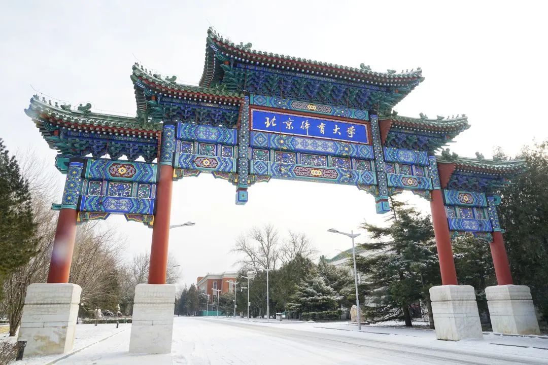 寄一片北体冬雪给您